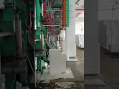 EPS-Weintraubkarton-Formen in der EPS-Schaumfabrik