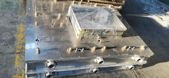 Energieeinsparung angepasste EPS-Form für Schaumbüchse für Fisch/Früchte/Gemüse